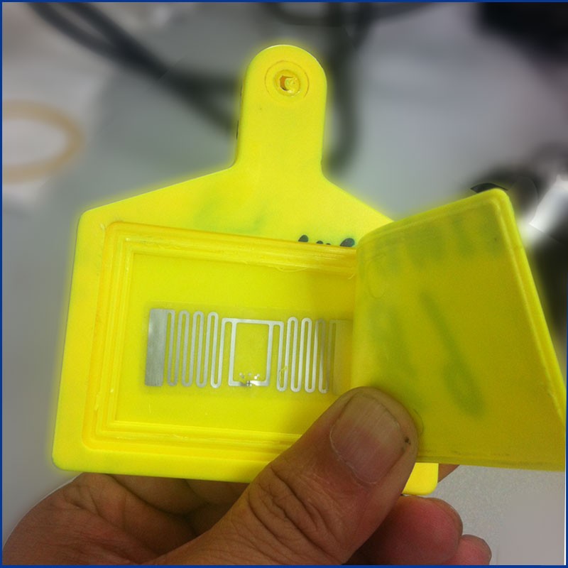 Étiquettes auriculaires RFID UHF haute qualité pour animaux JT-307