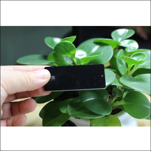 Étiquette métallique UHF JT-6025