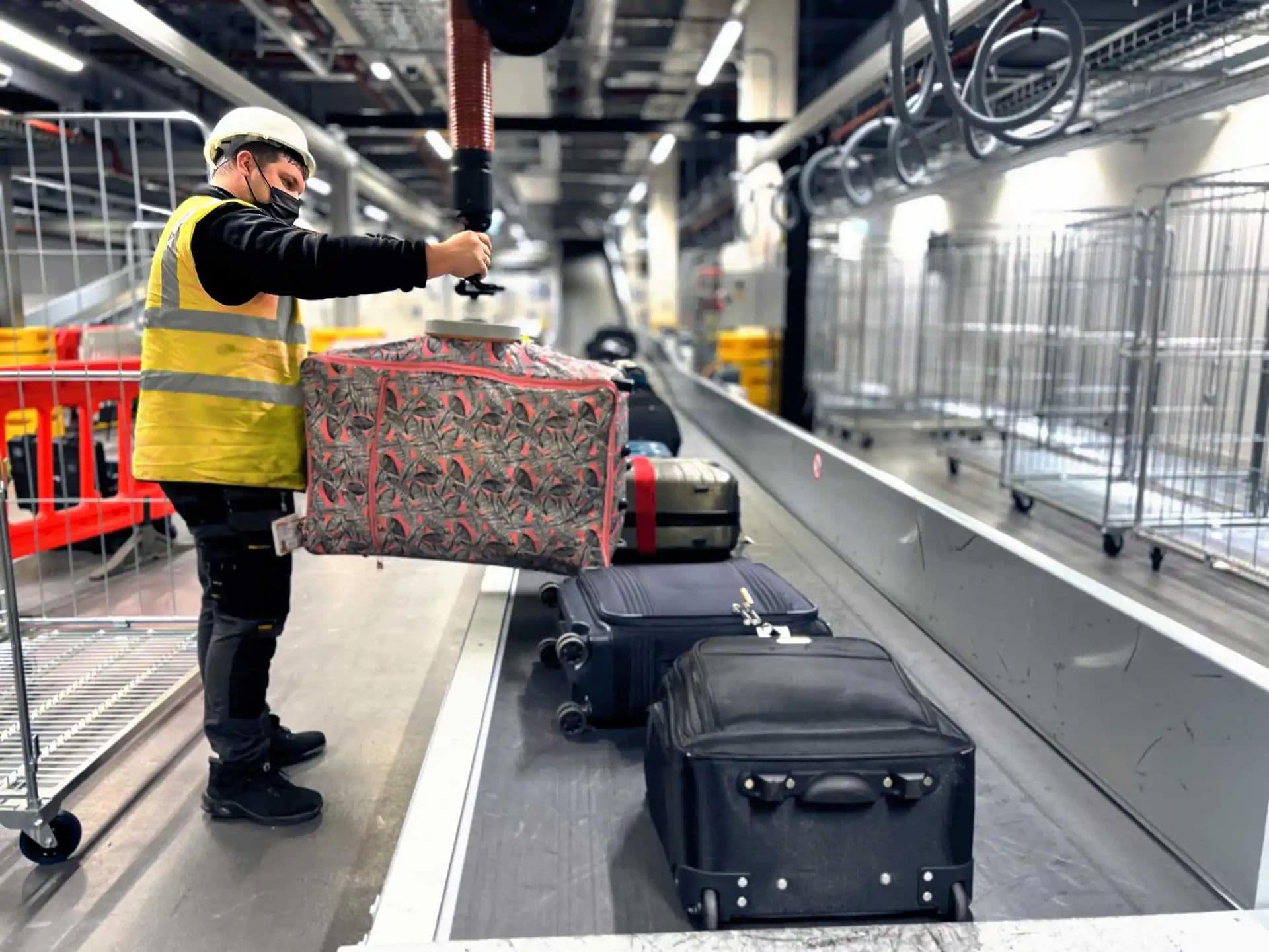 Transformer la gestion du bétail grâce à la technologie RFID